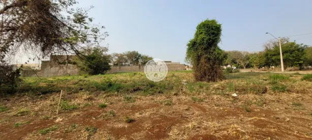 Terreno / Lote / Condomínio para alugar, 370m² no Alto da Boa Vista, Ribeirão Preto
