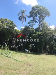 Fazenda / Sítio / Chácara com 2 Quartos à venda, 120m² no Campestre da Faxina, São José dos Pinhais