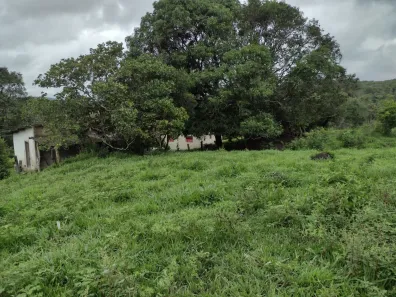 Terreno / Lote / Condomínio à venda, 20000m² no Zona Rural, Fortuna de Minas