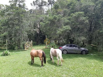 Fazenda / Sítio / Chácara à venda, 43700m² no Estação, Araucária
