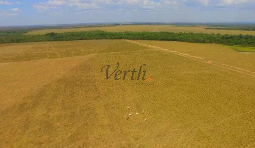 com 1 Quarto à venda, 305m² no , Guaraí