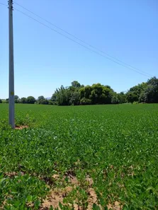 Fazenda / Sítio / Chácara à venda, 21000m² no Camobi, Santa Maria
