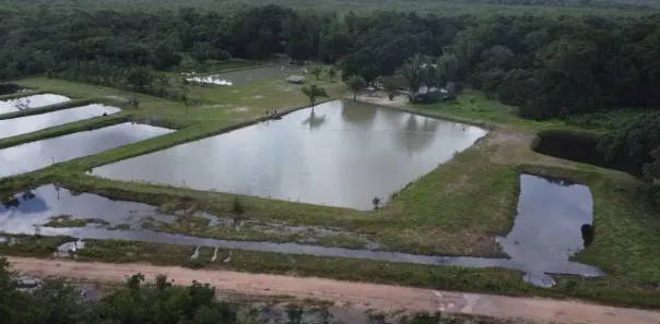 Fazenda / Sítio / Chácara à venda, 32m² no , Morros