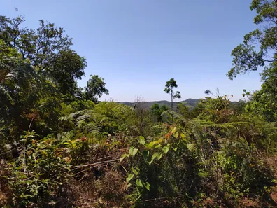 Fazenda / Sítio / Chácara à venda, 508200m² no , Piedade