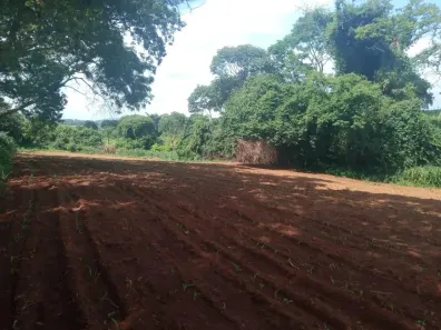 Fazenda / Sítio / Chácara com 2 Quartos à venda, 55000m² no , Nerópolis