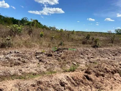 Fazenda / Sítio / Chácara à venda, 1250m² no Centro, Lagoa da Confusão
