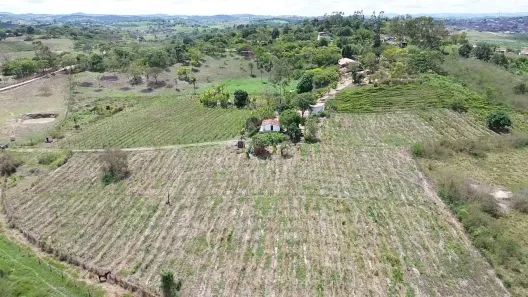 Fazenda / Sítio / Chácara com 3 Quartos à venda, 30000m² no , Sairé