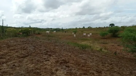 Fazenda / Sítio / Chácara com 5 Quartos à venda, 360000m² no , Passira
