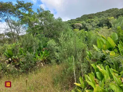 Terreno / Lote / Condomínio à venda, 3780m² no , Águas Mornas