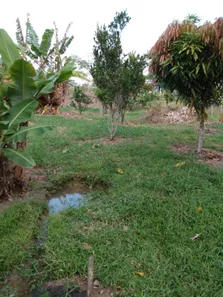Fazenda / Sítio / Chácara com 2 Quartos à venda, 150m² no Gravatá Centro, Gravatá