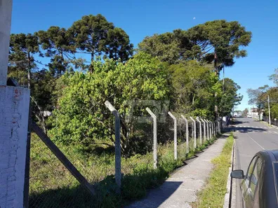Terreno / Lote / Condomínio à venda, 5856m² no Vila Solene, Campo Largo