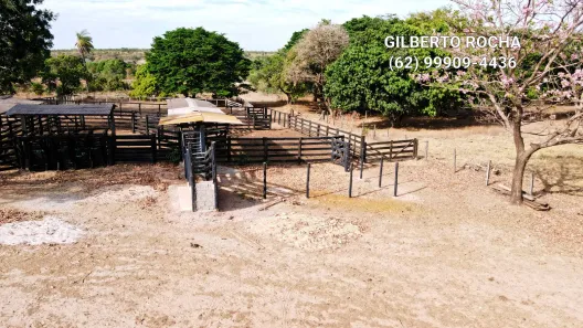 Fazenda / Sítio / Chácara à venda, 17900000m² no , Rio Sono