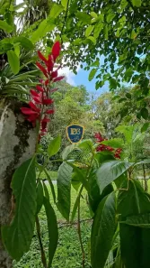 Fazenda / Sítio / Chácara com 2 Quartos à venda, 40000m² no Alphaville Graciosa, Pinhais
