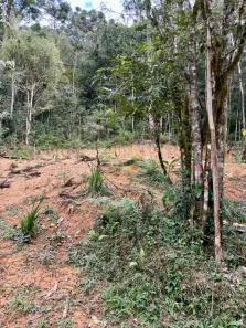 Terreno / Lote / Condomínio à venda, 20000m² no Quatro Barras, Quatro Barras