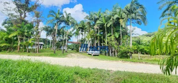 Fazenda / Sítio / Chácara com 3 Quartos à venda, 300m² no Rio do Cedro, Antonina