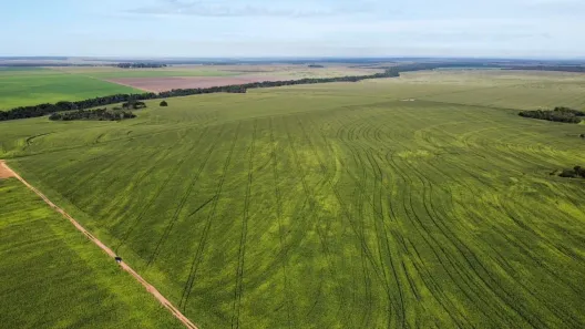 Fazenda / Sítio / Chácara à venda, 2900m² no , Pedro Afonso