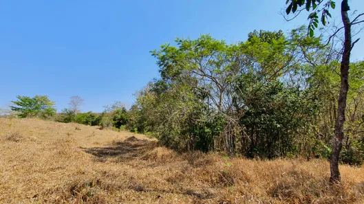 Terreno / Lote / Condomínio à venda, 20000m² no Zona Rural, Fortuna de Minas