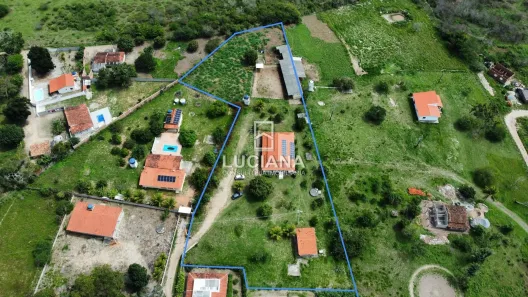 Fazenda / Sítio / Chácara com 3 Quartos à venda, 250m² no Cruzeiro, Gravatá