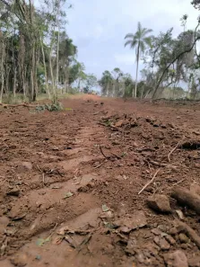 Fazenda / Sítio / Chácara com 13 Quartos à venda, 1000m² no Centro, São Roque