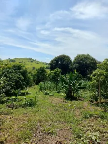 Fazenda / Sítio / Chácara com 1 Quarto à venda, 5000m² no condomínio chácaras Itaúna, Ibiporã