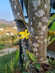 Casa de Condomínio com 2 Quartos à venda, 170m² no Moura Brasil, Três Rios