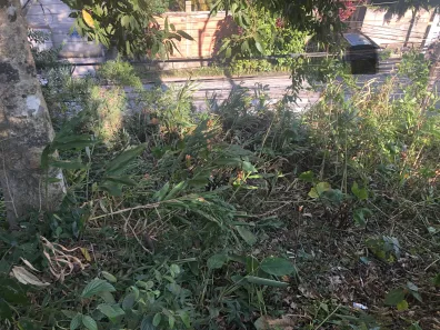 Terreno / Lote / Condomínio à venda, 6698m² no Castelanea, Petrópolis