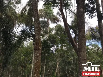 Fazenda / Sítio / Chácara à venda no , Guaraí