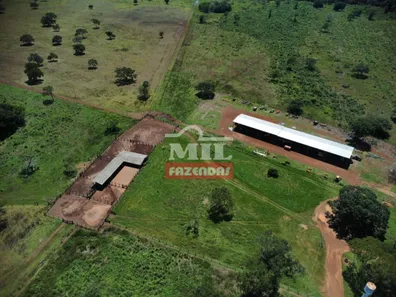 Fazenda / Sítio / Chácara à venda, 27646080m² no , Pium
