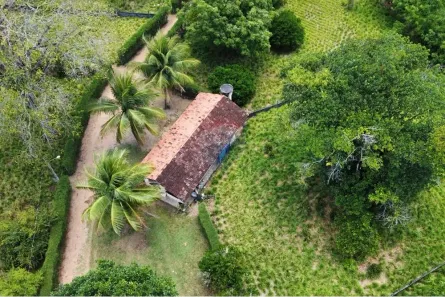 Fazenda / Sítio / Chácara à venda, 114000m² no Jardim Recreio, Conde