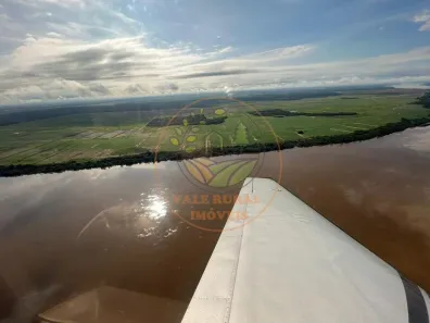 Fazenda / Sítio / Chácara com 6 Quartos à venda, 834m² no CENTRO, Lagoa da Confusão