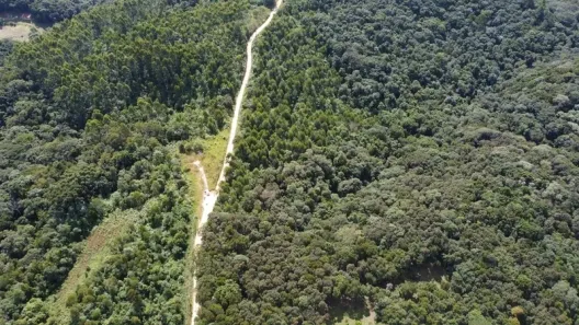 Terreno / Lote / Condomínio à venda, 20000m² no Itaqui de Cima, Campo Largo
