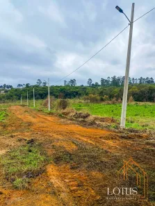 Terreno / Lote / Condomínio à venda, 500m² no Jardim da Luz, Embu das Artes