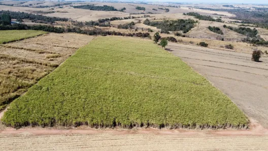Fazenda / Sítio / Chácara à venda, 72600m² no Área Rural de Águas de São Pedro, Águas de São Pedro