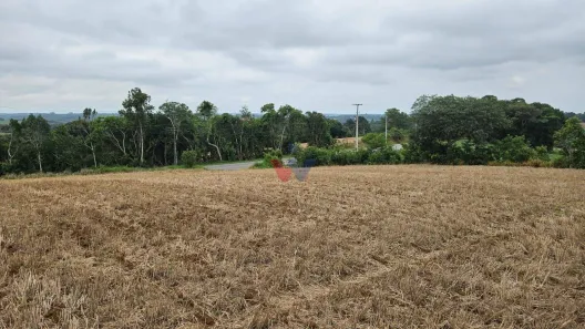 Fazenda / Sítio / Chácara à venda, 17000m² no Área Rural de Araucária, Araucária