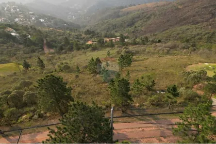 Terreno / Lote / Condomínio à venda, 3001m² no Pedro do Rio, Petrópolis