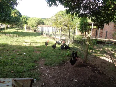 Fazenda / Sítio / Chácara com 3 Quartos para venda ou aluguel, 342m² no Jacumã, Conde