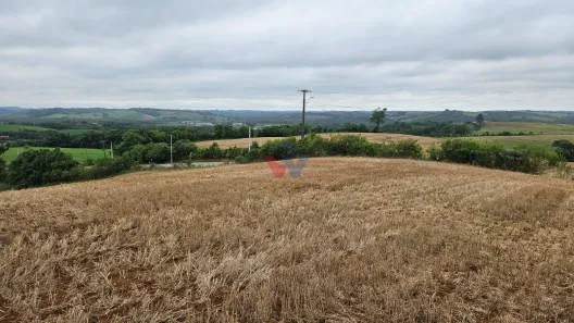 Fazenda / Sítio / Chácara à venda, 17000m² no Área Rural de Araucária, Araucária
