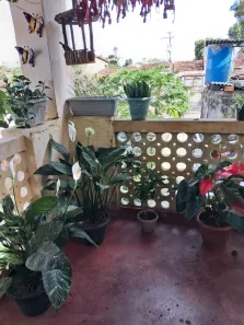Sobrado com 5 Quartos à venda, 354m² no Muritiba, Muritiba