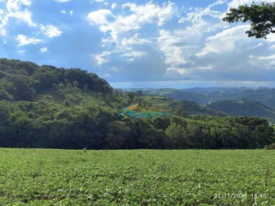 Fazenda / Sítio / Chácara à venda, 219000m² no , Catanduvas