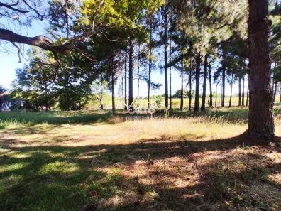 Terreno / Lote / Condomínio à venda, 37m² no Pé de Plátano, Santa Maria