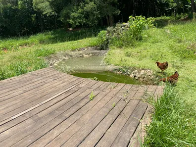 Fazenda / Sítio / Chácara com 3 Quartos à venda, 8000m² no , Mairinque