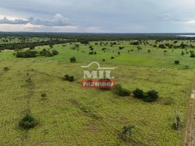 Fazenda / Sítio / Chácara à venda, 500m² no , Formoso do Araguaia