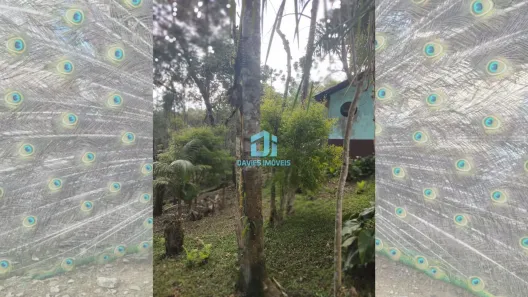 Fazenda / Sítio / Chácara à venda, 37100m² no Mandasaia, Campina Grande do Sul