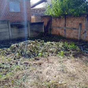 Casa com 2 Quartos para alugar, 20m² no Guarani, Colombo