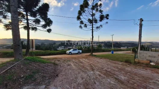Terreno / Lote / Condomínio à venda, 3940m² no Centro, Campo Magro