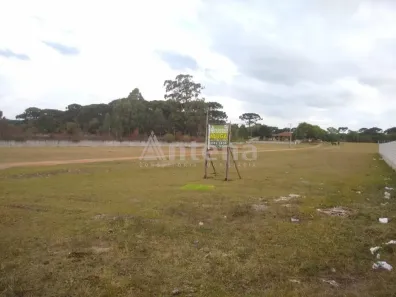 Terreno / Lote / Condomínio para alugar, 5000m² no Ipê, São José dos Pinhais