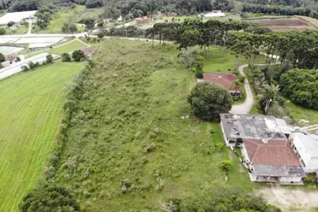 Fazenda / Sítio / Chácara com 3 Quartos à venda, 20000m² no Colônia Murici, São José dos Pinhais