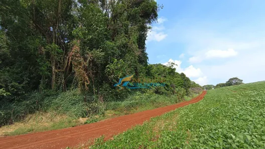 Fazenda / Sítio / Chácara à venda, 13000m² no , Corbélia