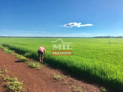 Fazenda / Sítio / Chácara à venda, 7260000m² no , Lagoa da Confusão