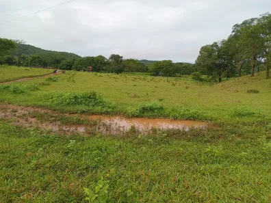 Fazenda / Sítio / Chácara com 3 Quartos à venda, 130000m² no , Padre Bernardo